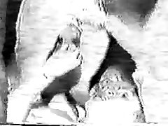 Porno Animali