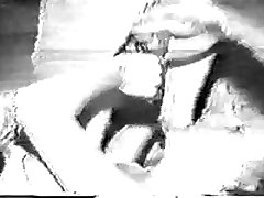 Porno Animali