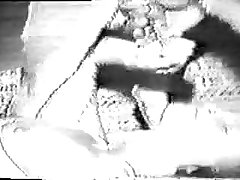 Porno Animali