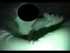 Horse Pussy Sex