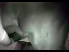 Horse Pussy Sex