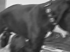 Teen Fuck Dog Missionary