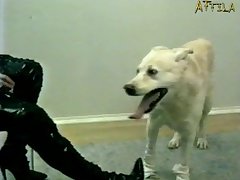 Dog Fuck Surprise