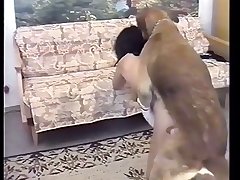 Dog Fuck With Cat