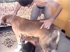 Fuck The Female Dog
