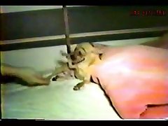 Fuck You In Dog
