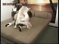 First Time Girl Fuck Dog