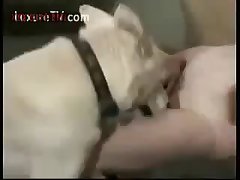 First Time Girl Fuck Dog