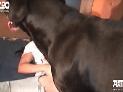 Dog Fuck Women Pron