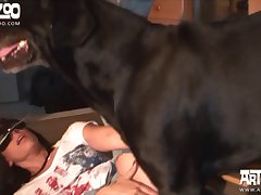 Dog Fuck Women Pron