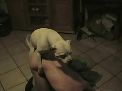 Dog Fuck Girls Porn Videos