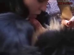Missionary Dog Fuck Videos