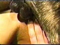 Dog Knot Fuck Woman