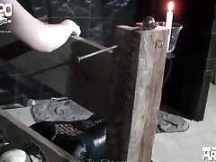 Dog Sucking Dick Porn