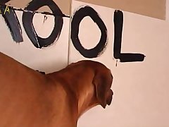Lesbian Dog Porn