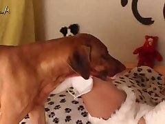 Dog Fucking Woman Porn