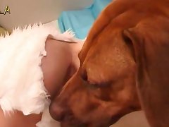 Dog Fucking Woman Porn
