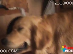 Horse Fuck Girl Porn