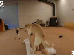 Emilys Diary Horse Porn