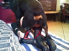 Smoking Girl Fuck Dog