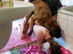 Jada Fuck Dog Jada Fuck Cat