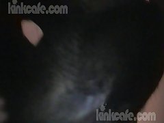 A Girl Fuck A Dog