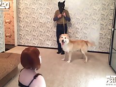 Person Fuck Dog