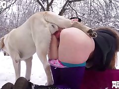 Furry Porn Dog