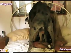 Sex With Dog Porn