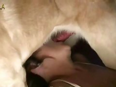 Zoo Porn Men
