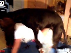 Dog Ai Porn