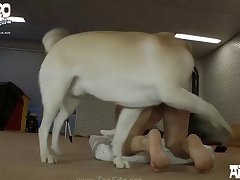 Horse 3d Porn Xxxnxx