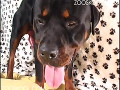 Dog Throat Fuck Girl