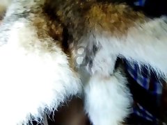 Zoo Wife Fuck Dog