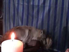 Zoo Wife Fuck Dog