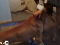 Big Dog Porn
