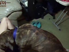 Horse Fucked Porn