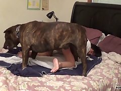 Horse Belly Riding Porn