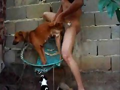 Dog Butthole Porn