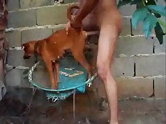 Dog Butthole Porn