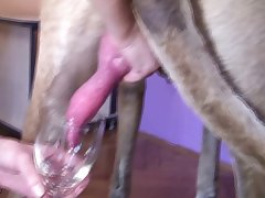 Marsha May Hot Dog Porn