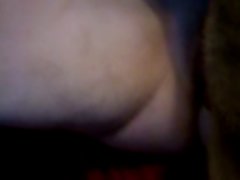 Horse Creampie Porn Gif