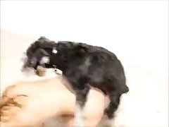 Xxx Man Fuck Dog