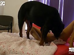 Girl Fuck Dog In Room