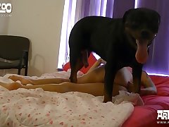 Girl Fuck Dog In Room