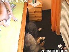 Pamela Fuck Dog