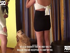 Dog Fuck Beauty Girl