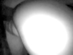 Dog Eats Cum Porn