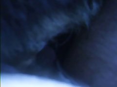 Gay Man And Horse Porn