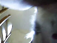 Alison Prod Zoo Porn
